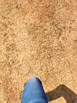 Ishan003 online show from 8, 2, 2026