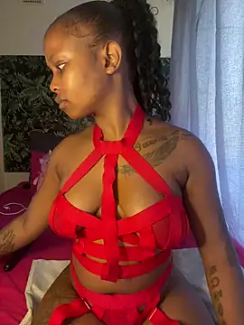 Snapshot of InkLady444 chatting on 13, 12, 2024 InkLady444 online show from 13, 12, 2024