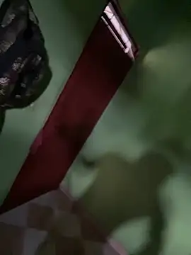 Snapshot of Alphadavid_23 chatting on 26, 2, 2025 Alphadavid 23 online show from 26, 2, 2025