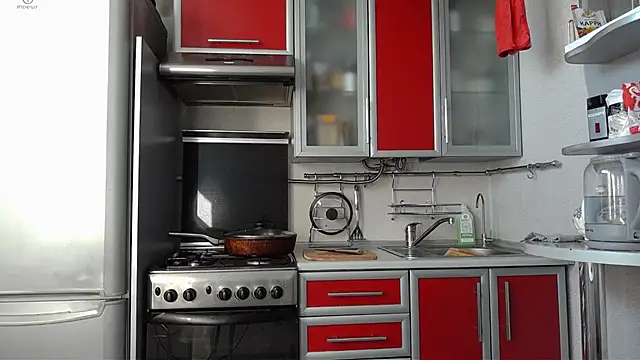 Snapshot of Kashtanka_ chatting on 21, 3, 2025 Kashtanka online show from 21, 3, 2025