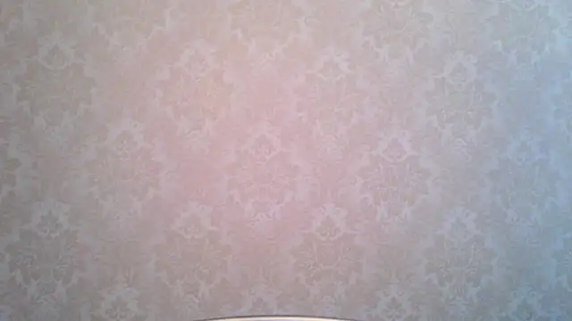 Snapshot of Kashtanka_ chatting on 19, 11, 2025 Kashtanka online show from 19, 11, 2025