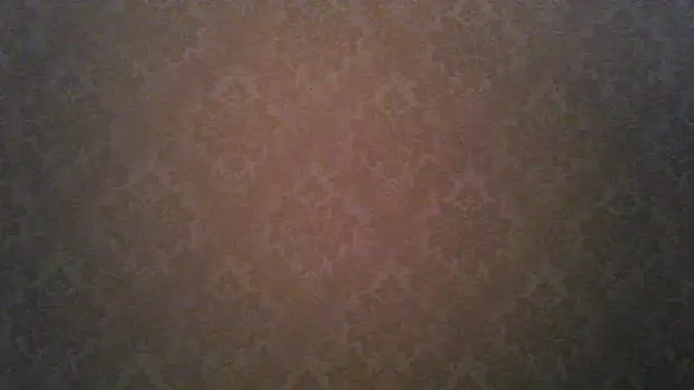 Snapshot of Kashtanka_ chatting on 21, 11, 2025 Kashtanka online show from 21, 11, 2025