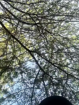 Abinash7732 online show from 8, 3, 2026