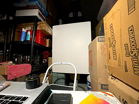 Snapshot of wynterheat chatting on 2, 12, 2025 wynterheat online show from 2, 12, 2025