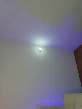 mich bittersweet online show from 11, 4, 2026