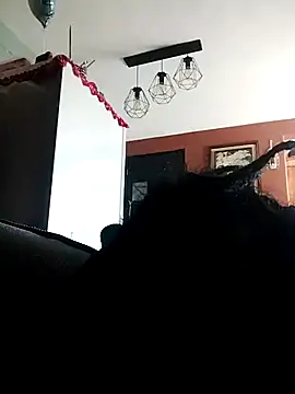 Snapshot of Bola453 chatting on 2, 3, 2026 Bola453 online show from 2, 3, 2026