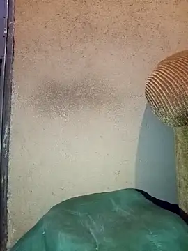 Thickcockzivyy online show from 20, 2, 2026