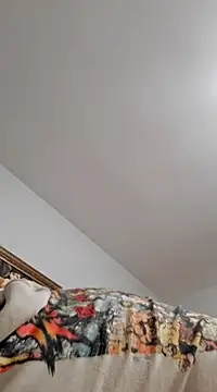 Snapshot of goldycox chatting on 18, 1, 2025 goldycox online show from 18, 1, 2025