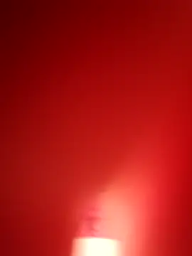 branquinho000007 online show from 12, 11, 2025