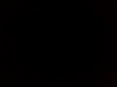 sammymoon online show from 20, 12, 2024