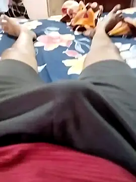 hoty horse online show from 24, 10, 2025