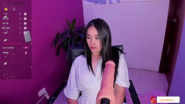  sulmatevans  online show from 23, 1, 2025