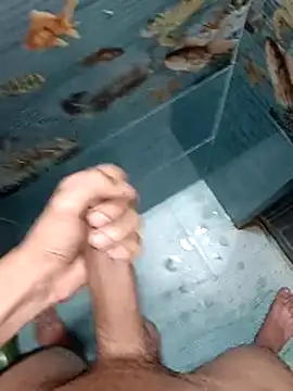 Snapshot of Mr_joh chatting on 12, 2, 2026 Mr joh online show from 12, 2, 2026