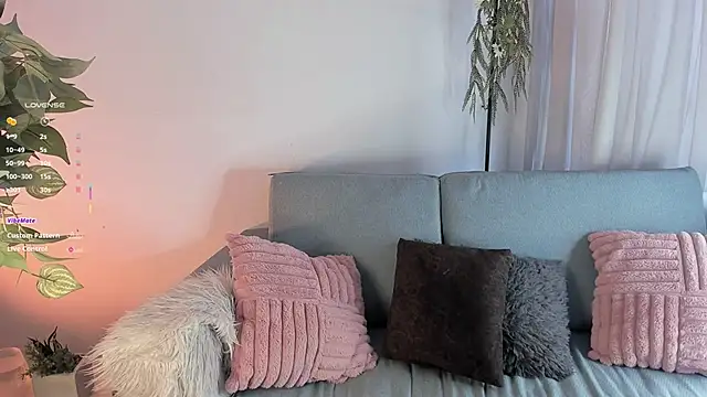 aisha bx online show from 19, 1, 2026