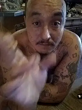 wilsons12 online show from 28, 10, 2025