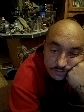 wilsons12 online show from 28, 11, 2025