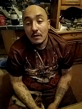 wilsons12 online show from 4, 12, 2025