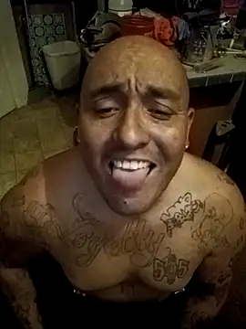 wilsons12 online show from 20, 12, 2025