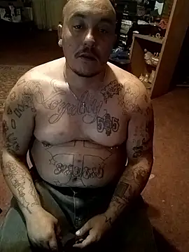 wilsons12 online show from 17, 1, 2026