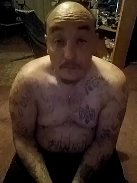 wilsons12 online show from 27, 2, 2026