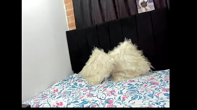 Evaaross 2345 online show from 27, 12, 2024