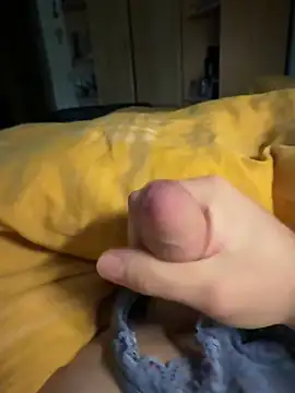 Snapshot of Gartengolem chatting on 26, 11, 2025 Gartengolem online show from 26, 11, 2025