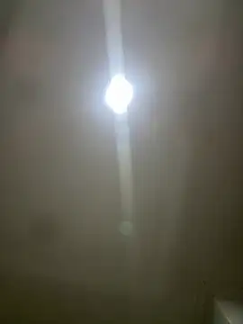 Snapshot of pawmistry chatting on 5, 3, 2026 pawmistry online show from 5, 3, 2026