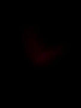 Boss199971 online show from 7, 11, 2025