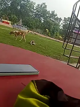 Snapshot of Mmm992170 chatting on 24, 12, 2024 Mmm992170 online show from 24, 12, 2024