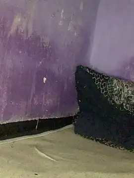 Sexy king4 online show from 28, 6, 2026