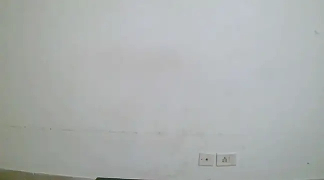 collage hoty online show from 8, 1, 2025