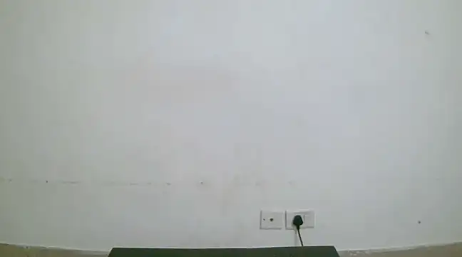 collage hoty online show from 19, 1, 2025