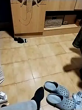 minitranca online show from 26, 10, 2025