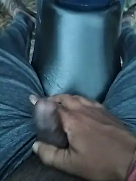 dick 01728 online show from 3, 7, 2026