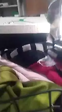 6MataGarcia online show from 17, 12, 2024