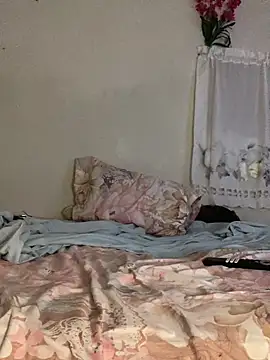 Snapshot of Johnras121 chatting on 16, 3, 2026 Johnras121 online show from 16, 3, 2026