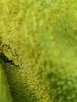 Snapshot of sadunt chatting on 16, 1, 2026 sadunt online show from 16, 1, 2026