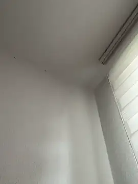 derFickerali online show from 20, 10, 2025