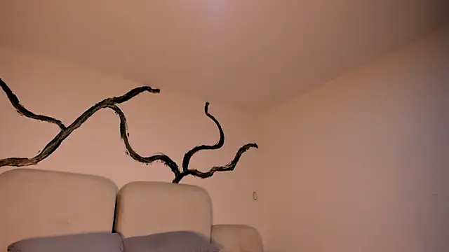 EthanTravis  online show from 11, 2, 2025