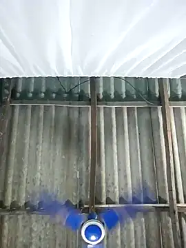 hotbaby 5 online show from 1, 11, 2025