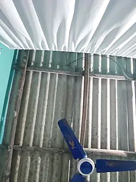 hotbaby 5 online show from 29, 11, 2025