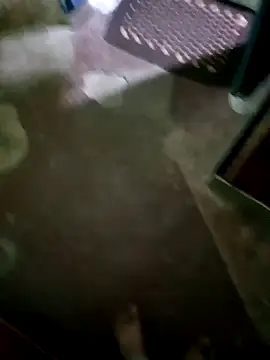 Snapshot of InboardHasek chatting on 5, 12, 2024 InboardHasek online show from 5, 12, 2024