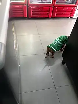 Snapshot of Hjsjsjsjjd chatting on 14, 10, 2025 Hjsjsjsjjd online show from 14, 10, 2025