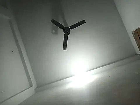 pintuS40 online show from 2, 1, 2025