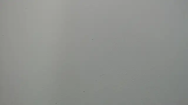 sussy leon online show from 14, 3, 2025