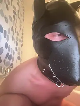 PlayDog123 online show from 6, 3, 2025