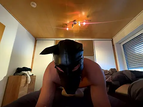 PlayDog123 online show from 11, 1, 2026