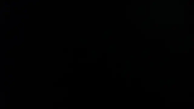 bulma milk online show from 17, 12, 2024