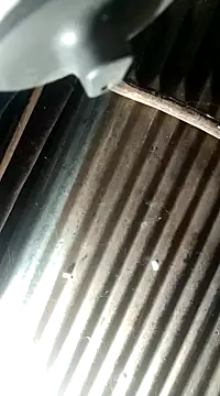 Huebolocko online show from 4, 12, 2024