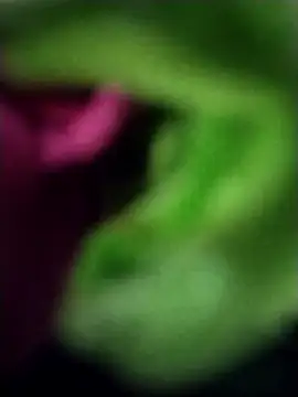 heartless  95 online show from 23, 3, 2025